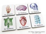 Customized Anatomy Coasters Graduation Gift doctor nurse practitioner physical therapist med student medical rn pa np md dc-Art Altered