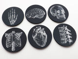 Coworker Coasters Gift physician assistant nurse practitioner white black graduation party favor medical office male thank you goth home-Art Altered