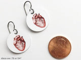 Anatomical Heart Earrings Medical School Graduation jewelry gift skull doctor nurse practitioner physician assistant student anatomy teacher-Art Altered