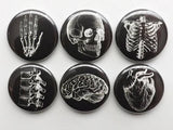 Doctor Graduation Gift Anatomy Magnet white black med student physician assistant male nurse party favor stocking stuffer paramedic goth pin-Art Altered