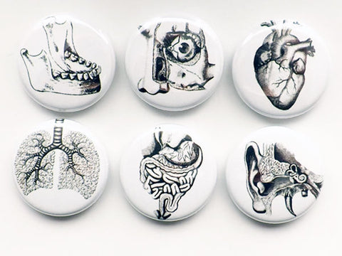 Human Anatomy Gift him medical student button pins lungs anatomical heart party favor magnets goth halloween stocking stuffer men rn md pa-Art Altered