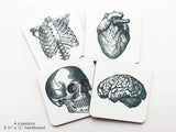 Graduation Gift Anatomy 3.75 inch hardboard Coasters cork back white coat ceremony for him her anatomical heart medical goth geekery doctor-Art Altered