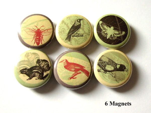 Woodland Creatures MAGNETS bee moth squirrel birds crow nature-Art Altered