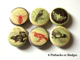 Woodland PINBACK BUTTONS pins badges birds bee moth squirrel nature-Art Altered