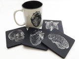 Anatomy Coffee Mug and Coasters Gift Set doctor nurse housewarming hostess medical school graduation-Art Altered