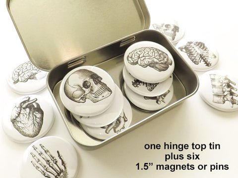 Anatomy Gift 1 tin + six 1.5" magnets or pins anatomical heart skull stocking stuffer party favor-Art Altered