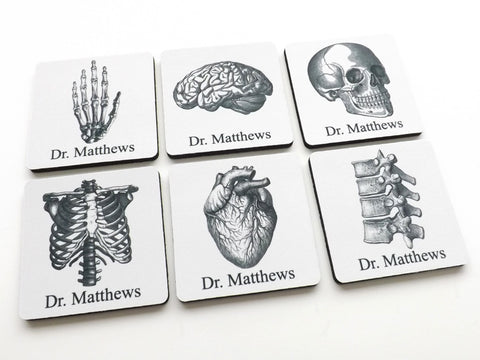 Personalized Anatomy Coasters Gift human body skull brain anatomical heart doctor nurse student medical rn pa np md-Art Altered