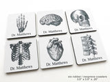 Personalized Anatomy Coasters Gift human body skull brain anatomical heart doctor nurse student medical rn pa np md-Art Altered