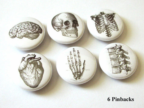 Anatomy Gift PINBACK BUTTONS pins badges skeleton brain anatomical heart skull medical body-Art Altered
