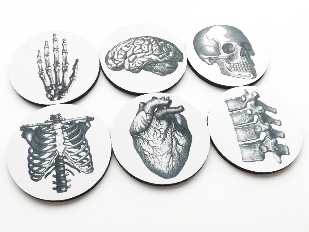 Anatomical Theme Coasters neoprene human body medical gift skeleton skull brain anatomy doctor nurse-Art Altered