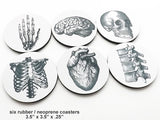 Anatomy Theme Gift Set Coasters neoprene nurse physician assistant doctor medical graduation back to school-Art Altered