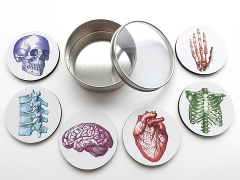Doctor Anatomical Coasters Gift Set nurse practitioner physician assistant medical school graduation-Art Altered