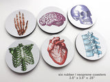Colorful Anatomy Gift Coasters nurse practitioner physician assistant doctor human body medical skull brain anatomical heart-Art Altered