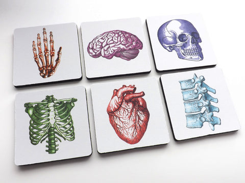 Gift for Doctors Colorful Anatomical Theme Coasters nurse human body medical school skull brain anatomical heart-Art Altered