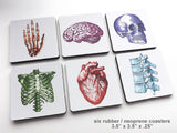 Nursing School Graduation Colorful Anatomy Coasters Gift Set physician assistant doctor medical student-Art Altered