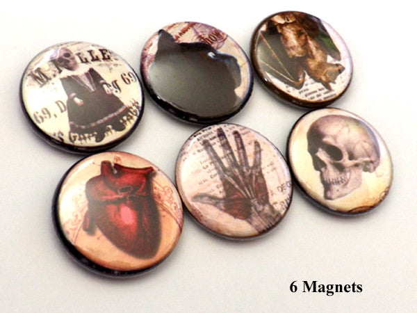 Goth Macabre MAGNETS halloween party favors anatomical heart skull cat-Art Altered