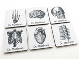 Personalized Coasters Medical School Student Graduation anatomy gift doctor nurse practitioner physician assistant custom name thank you pa-Art Altered