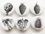 Pinecones fridge magnets set badge coasters conifers forest black white party favors stocking stuffers 1 inch minimalist gift pine cone tree-Art Altered