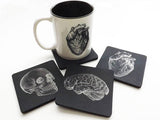 Drink Coasters and Coffee Mug Gift Set Anatomy physician assistant doctor male nurse anatomical heart goth biology white coat ceremony skull-Art Altered