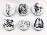 Medical human anatomy gift halloween button pins flair badges lung brain skull science body student party favor magnet goth male nurse bones-Art Altered