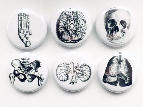 Medical human anatomy gift halloween button pins flair badges lung brain skull science body student party favor magnet goth male nurse bones-Art Altered