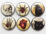 Goth Fridge Magnets macabre horror skull anatomical heart black cat halloween party favor button pins gift trick treat raven spider web crow-Art Altered