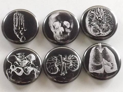 Anatomical Fridge Magnets set gift for him male nurse physician skull foot lungs graduation geek button pins greys goth kitchen masculine-Art Altered