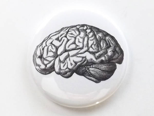 Fridge Magnet Brain human anatomy medical science gift geekery goth black and white doctor nurse physician-Art Altered