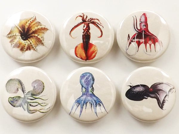 Octopus and Squid gift set button pins magnets coasters sea beach ocean nature marine biology stocking stuffer cthulhu tentacles kraken goth-Art Altered