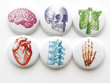Stocking Stuffer button pin anatomy medical school gift badge spine fathers day party favor anatomical heart skull student magnet graduation-Art Altered