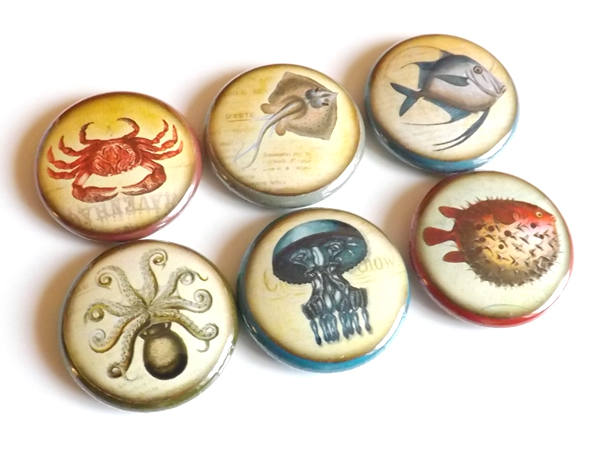Fish Ocean Sea refrigerator button magnets nautical jellyfish puffer octopus gift party favors stocking stuffer pins beach rustic home decor-Art Altered