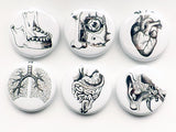 Human Anatomy Gift him medical student button pins lungs anatomical heart party favor magnets goth halloween stocking stuffer men rn md pa-Art Altered