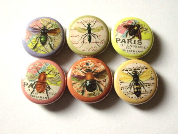 Insects fridge refrigerator magnet set nature bugs bee gift party favor stocking stuffer flair button pins rustic home decor science garden-Art Altered