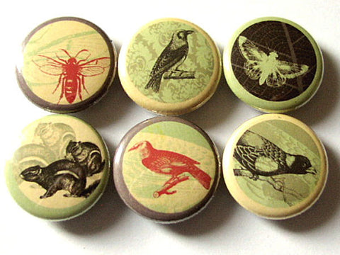 Button Pins Woodland creatures squirrel birds bee moth crow party favors stocking stuffers gifts nature forest magnet badges housewarming-Art Altered