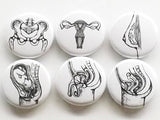 Reproductive Anatomy female magnets button pins party favor stocking stuffer gynecology gift for her ovaries uterus girl power women medical-Art Altered