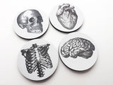Anatomy Coasters teacher medical student hostess gifts party favors skull brain anatomical heart black and white minimalist home decor goth-Art Altered