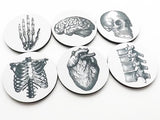 Doctor Nurse gift drink Coasters anatomy gothic home decor school dorm doctor anatomical thank you physician assistant geek goth mug mat rug-Art Altered