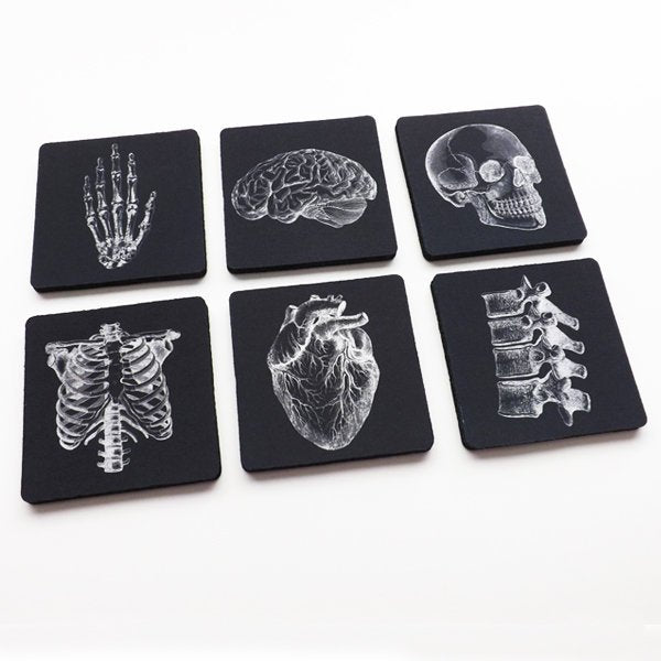 Human Anatomy Gift Coasters med student graduation masculine white black decor anatomical heart science goth kitchen nurse practitioner nerd-Art Altered