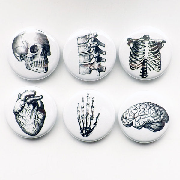 Button Pins Anatomy brain skull anatomical heart med medical student gift stocking stuffer party favor magnet teacher goth nurse doctor grey-Art Altered