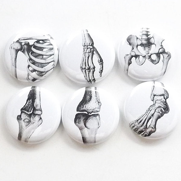 Joints Gift anatomy magnet set doctor teacher nurse bones arthritis hip shoulder wrist ankle elbow knee ortho physical therapy goth student-Art Altered