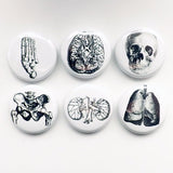 Human Body Anatomy Magnets physician assistant doctor gift skull foot graduation geek button pins kidney lungs party favor greys goth-Art Altered