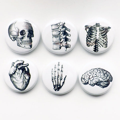Human Anatomy flair Magnet Button Pin Badges Coaster teacher gifts brain skull science anatomical heart geekery stocking stuffer party goth-Art Altered