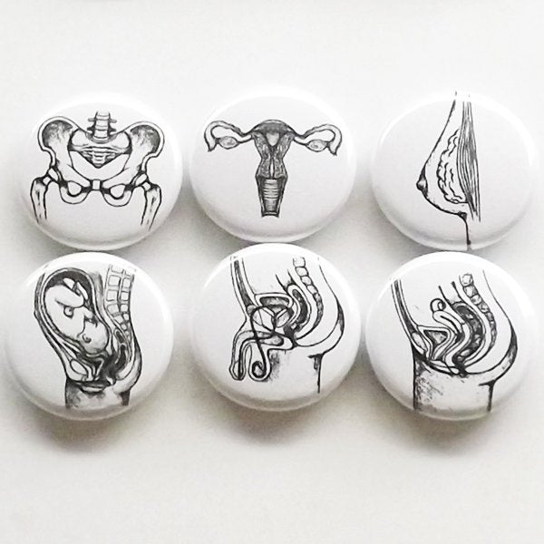 Reproductive Anatomy female magnets button pins party favor stocking stuffer gynecology gift for her ovaries uterus girl power women medical-Art Altered