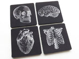 Human Anatomy Gift Coasters med student graduation masculine white black decor anatomical heart science goth kitchen nurse practitioner nerd-Art Altered