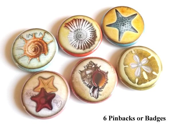 Sea Shells button pins badges stocking stuffers starfish sand dollar party favors nature nautical gifts magnets coastal beach ocean novelty-Art Altered