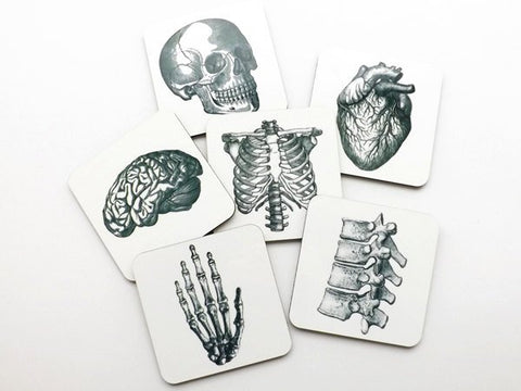 Anatomical Heart Anatomy Hardboard Coasters graduation doctor physical therapist student hostess gift him her skull medical gothic decor pa-Art Altered