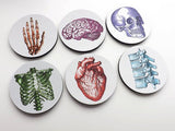 Nursing School Graduation medical coworker gift coasters anatomy student physician assistant nurse practitioner for him biology cardiology-Art Altered